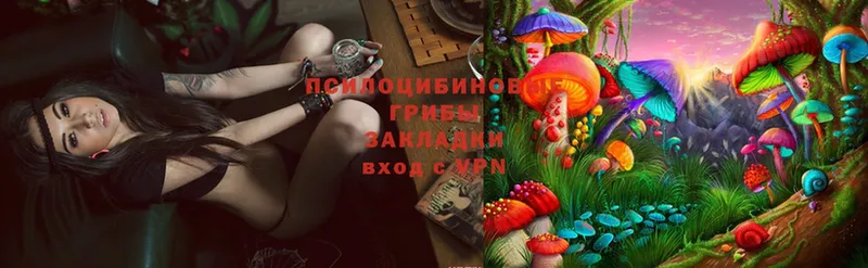 Псилоцибиновые грибы Magic Shrooms  купить   Новая Ляля 